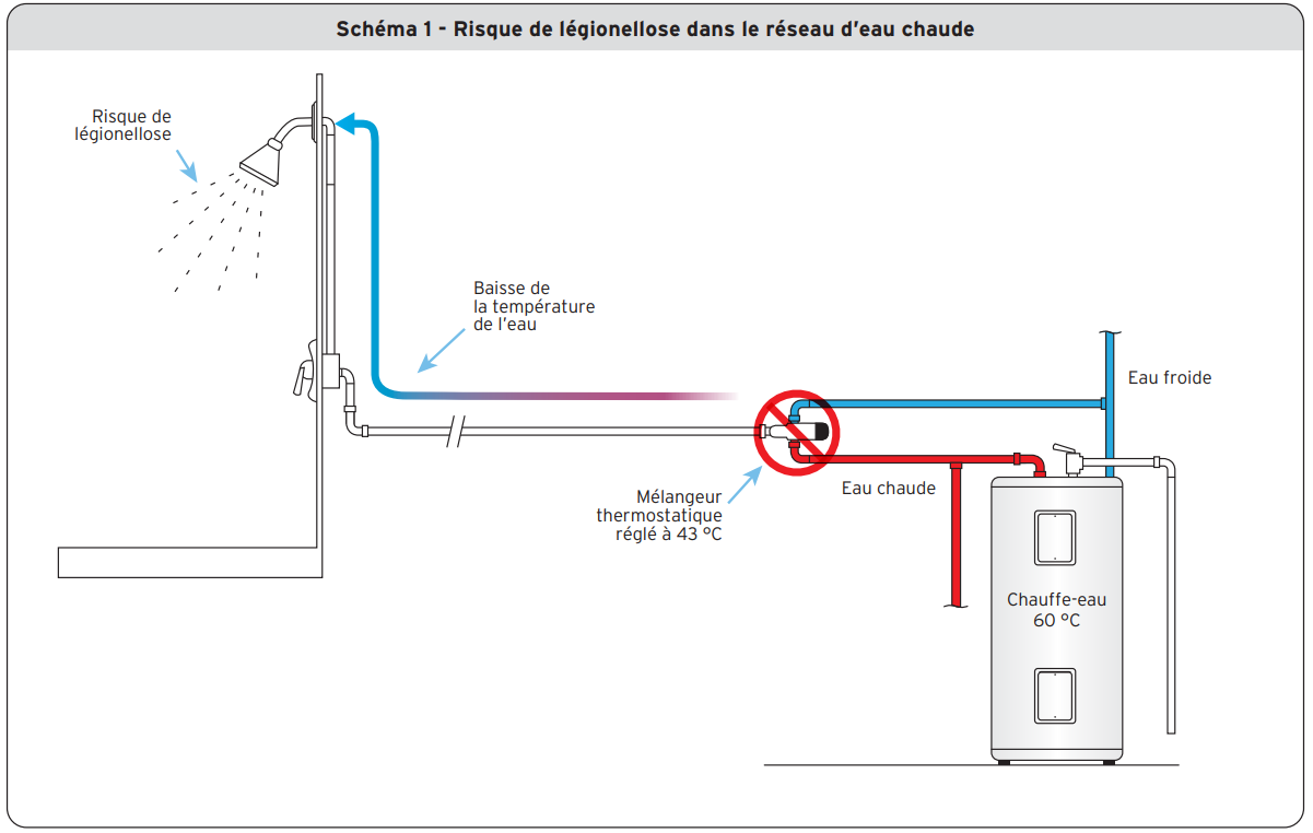 Schéma 1 - Risque de légionellose dans le réseau d’eau chaude